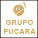 Grupo Pucara