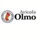 olmo