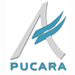 grupo-pucara