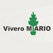 Vivero Mario